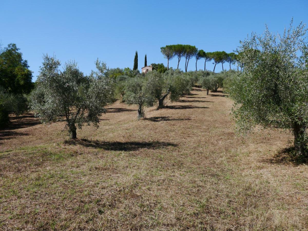 Ferienhaus Il-Pino Villa Roccastrada Luaran gambar
