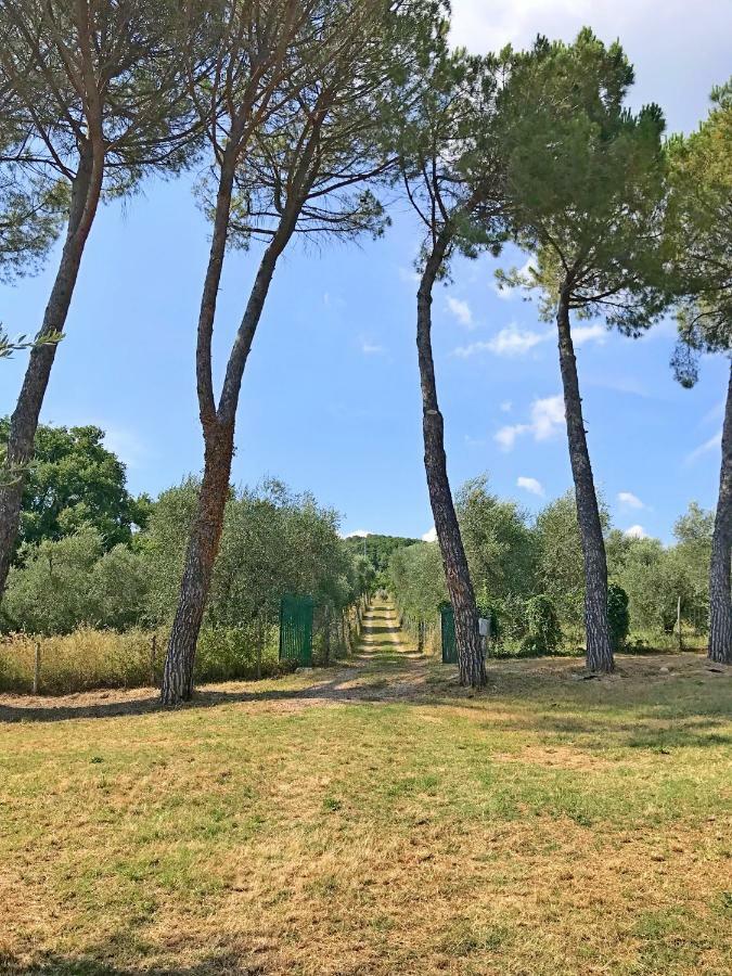 Ferienhaus Il-Pino Villa Roccastrada Luaran gambar